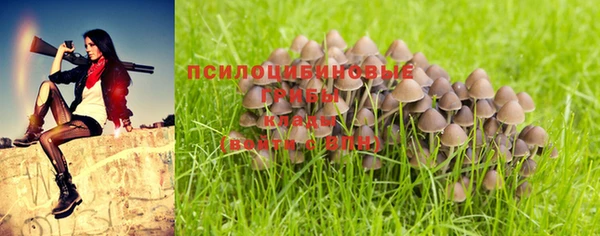 синтетический гашиш Армянск